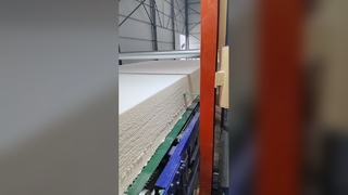 Affettatrice orizzontale in schiuma CNC ad alta precisione