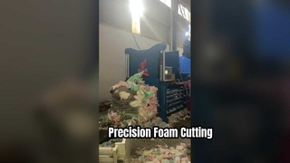 Precisione del coltello a nastro verticale della tagliatrice di schiuma